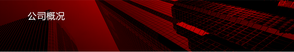 公司概况