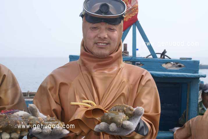财神岛海参企业宣传片拍摄花絮